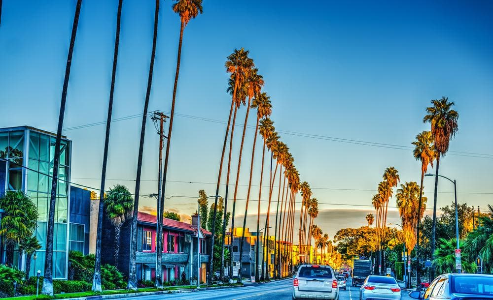 Los Angeles security services